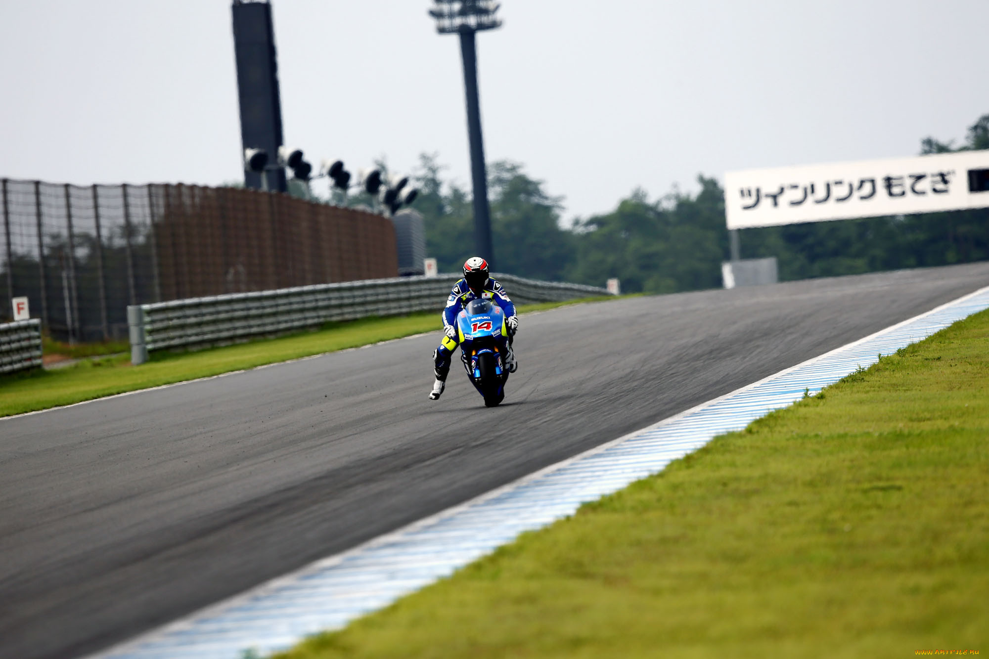 , , suzuki, motogp